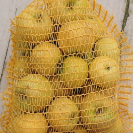 Pomme Chantecler 1 kg